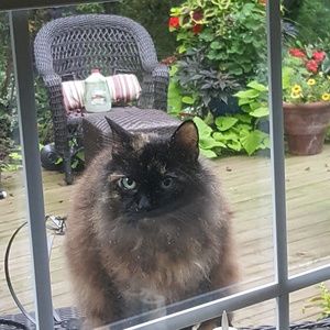 Meet your Posher, Donna